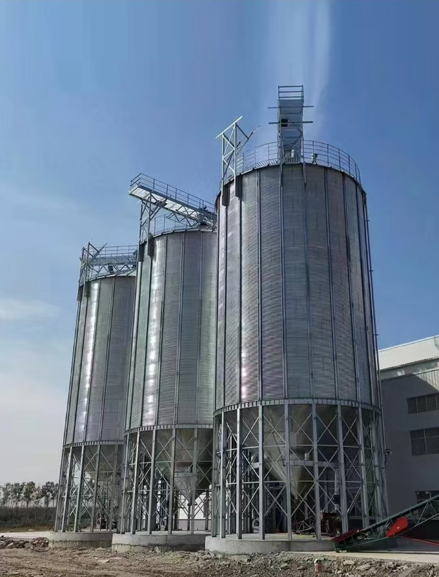 江蘇豐縣農(nóng)業(yè)公司倉儲(chǔ)項(xiàng)目